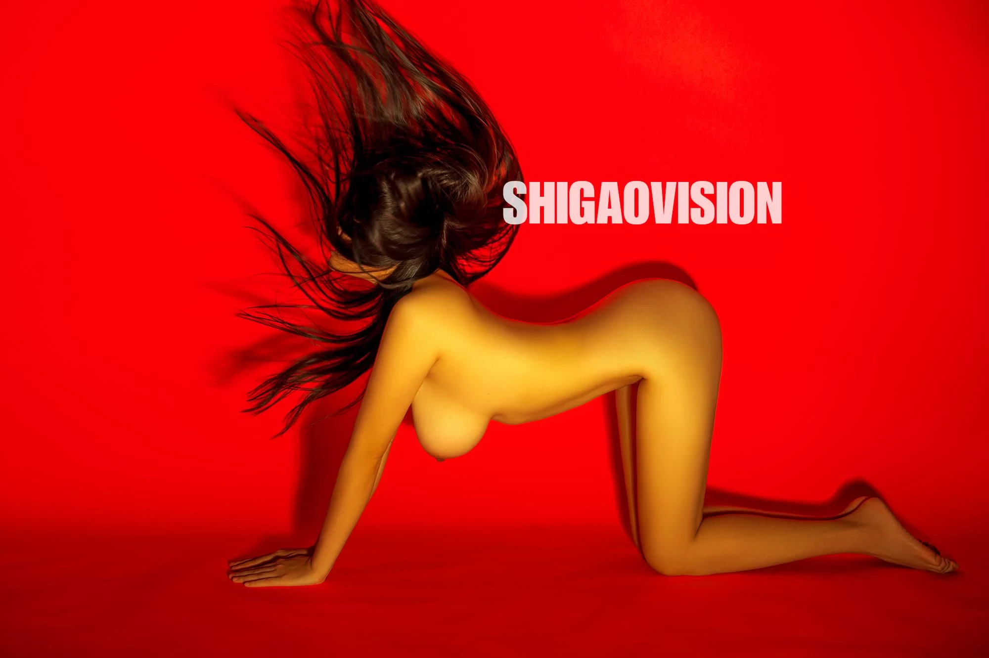 Shigaovision 影集 [3][148P]