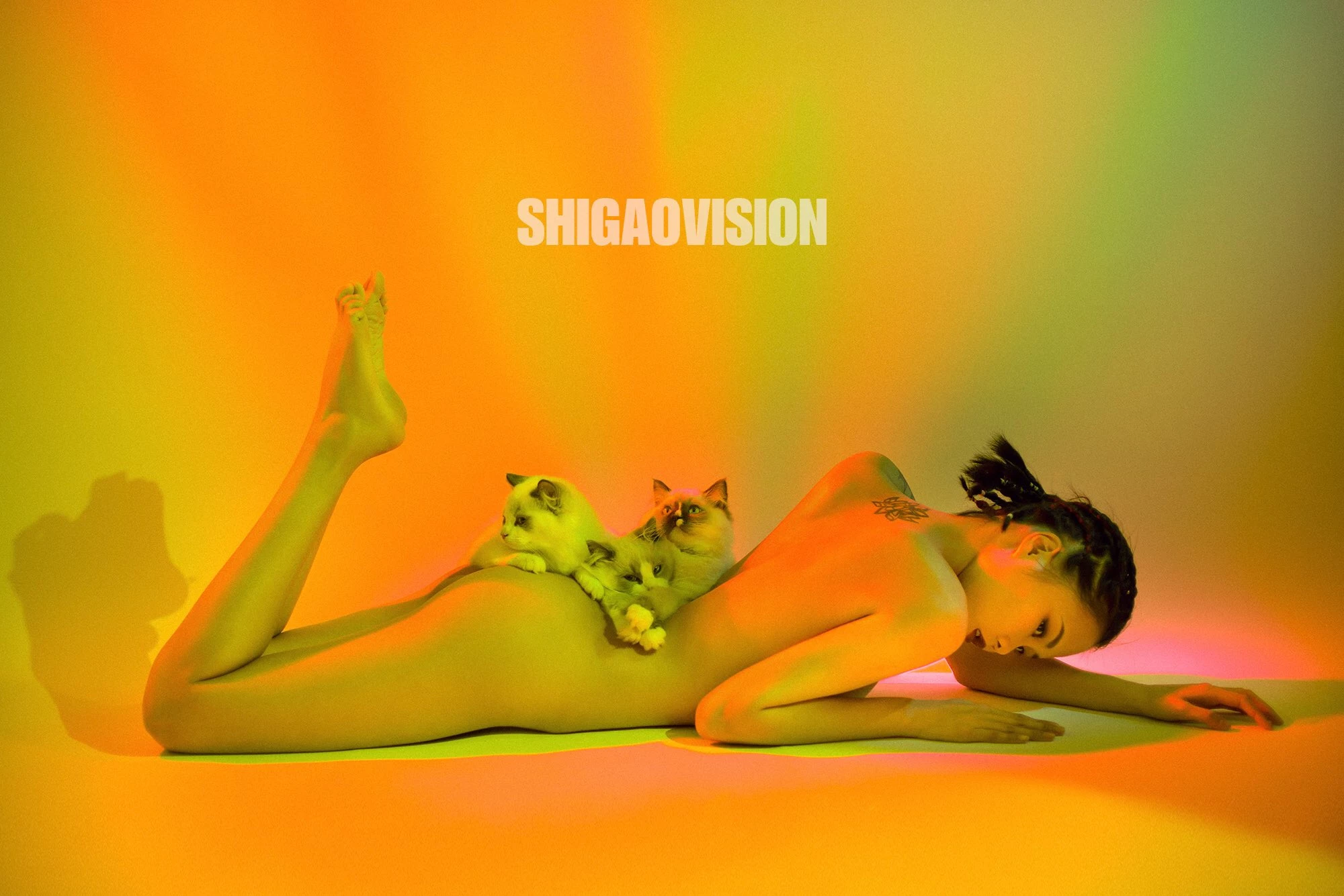 Shigaovision 影集 [3][148P]