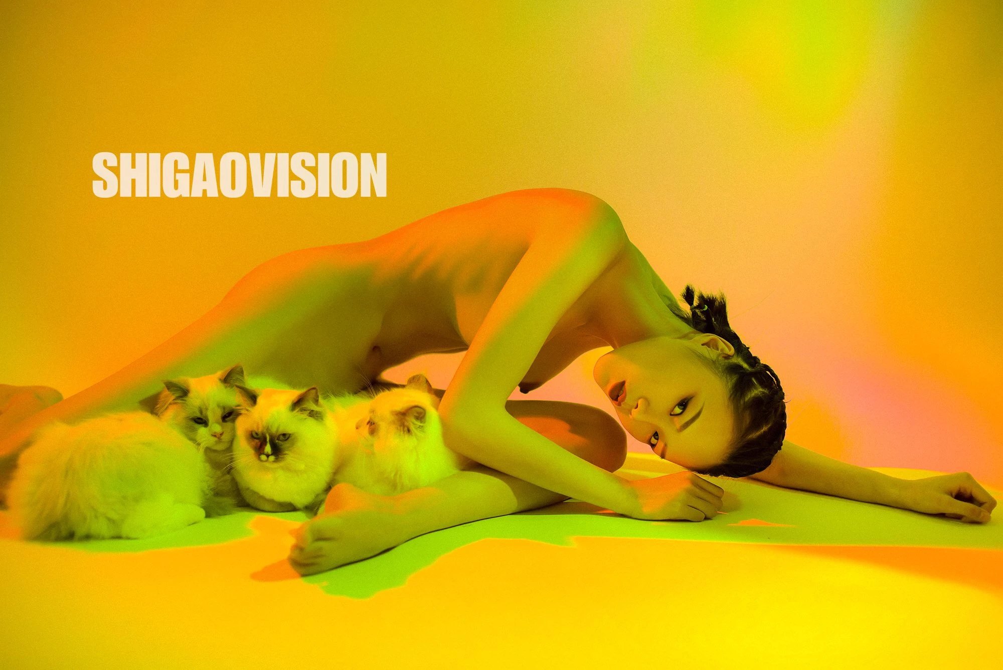 Shigaovision 影集 [3][148P]