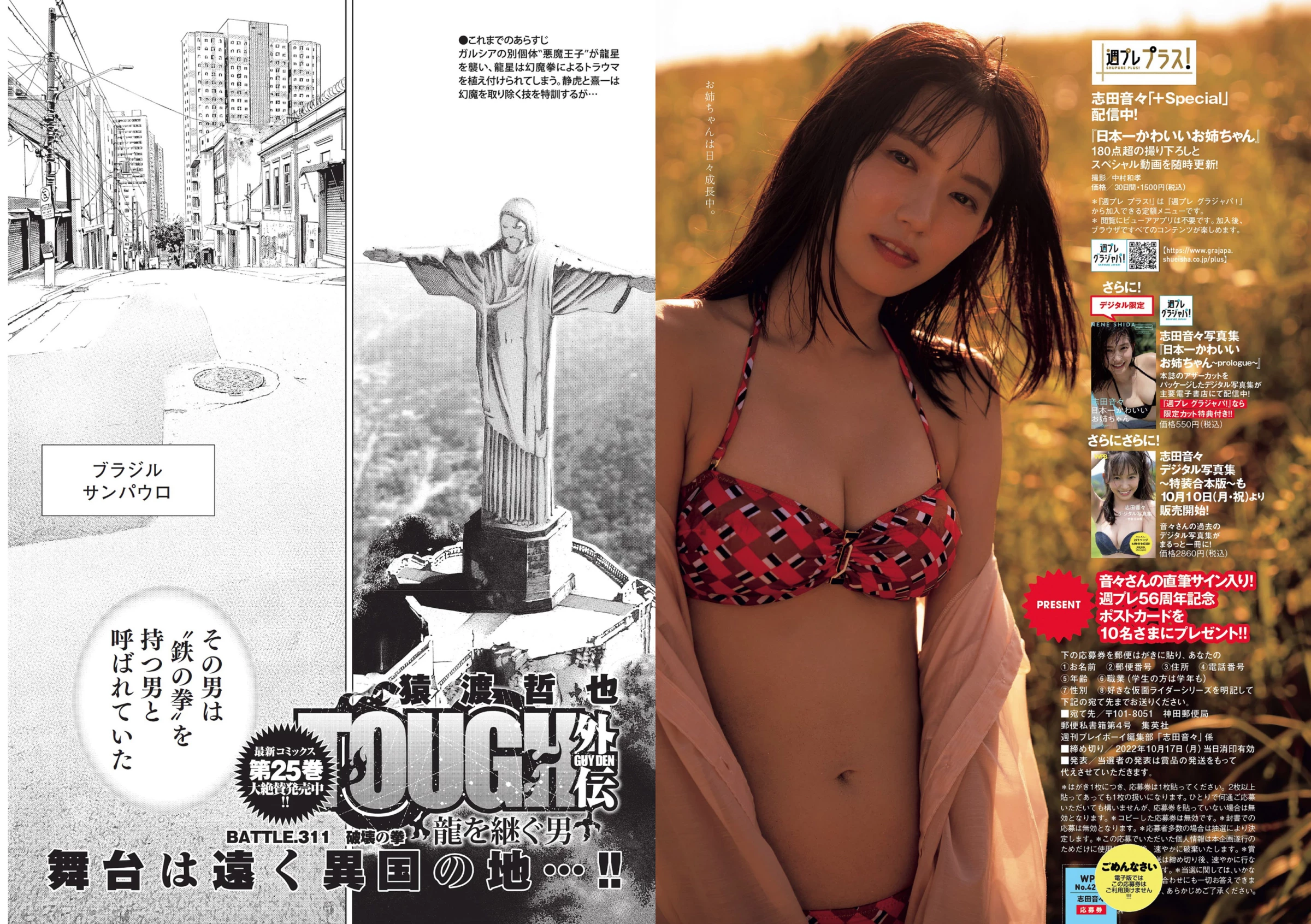 青岛心[绝狼ZERO寻海爱丽丝][Photobook] [デジタル限定]写真集“纯洁” [341P]