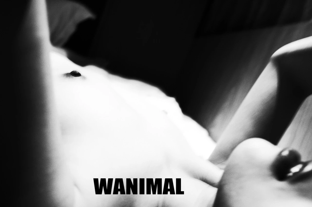 [WANIMAL王动系列]Tumblr博客写真作品VIP大尺度全集21[103P]