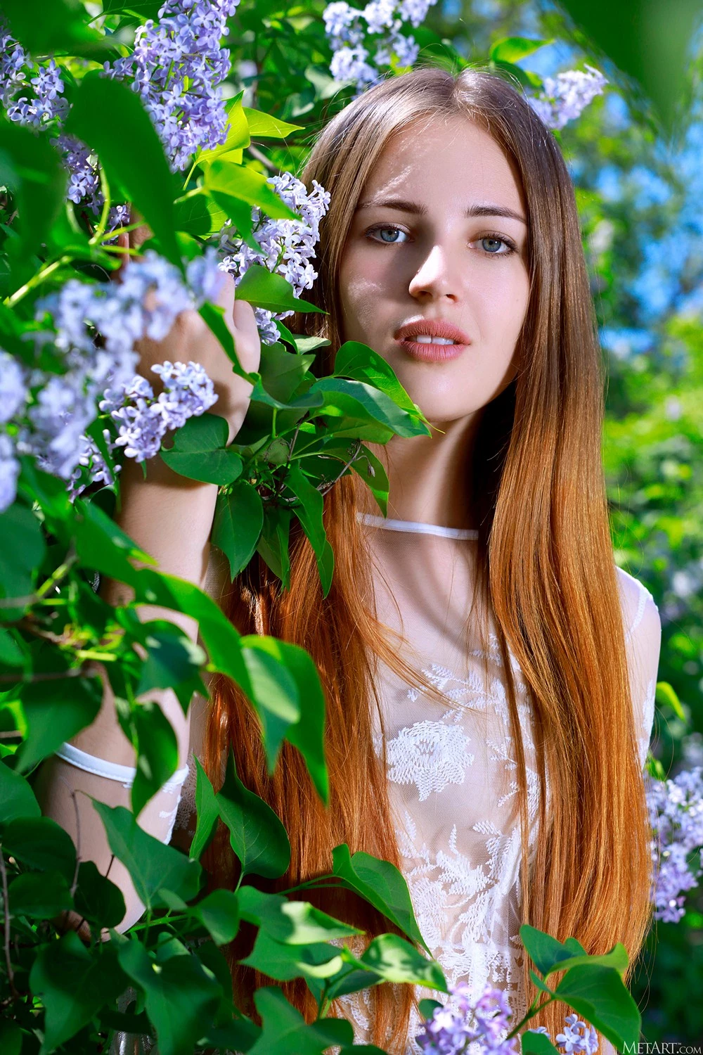 [paxxpa] - Hailey - Lilacs [128P]