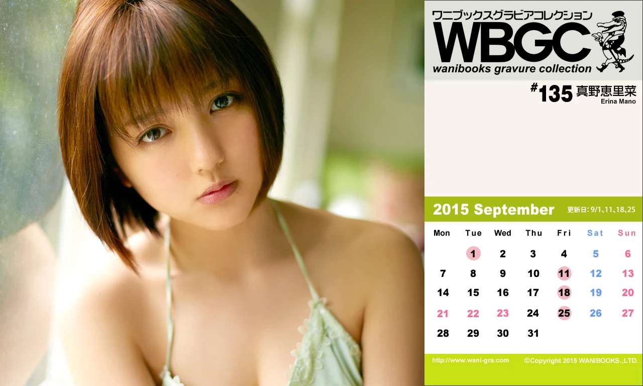 真野恵里菜[Wanibooks] 2015年05月号 #131 Erina Mano [577P]