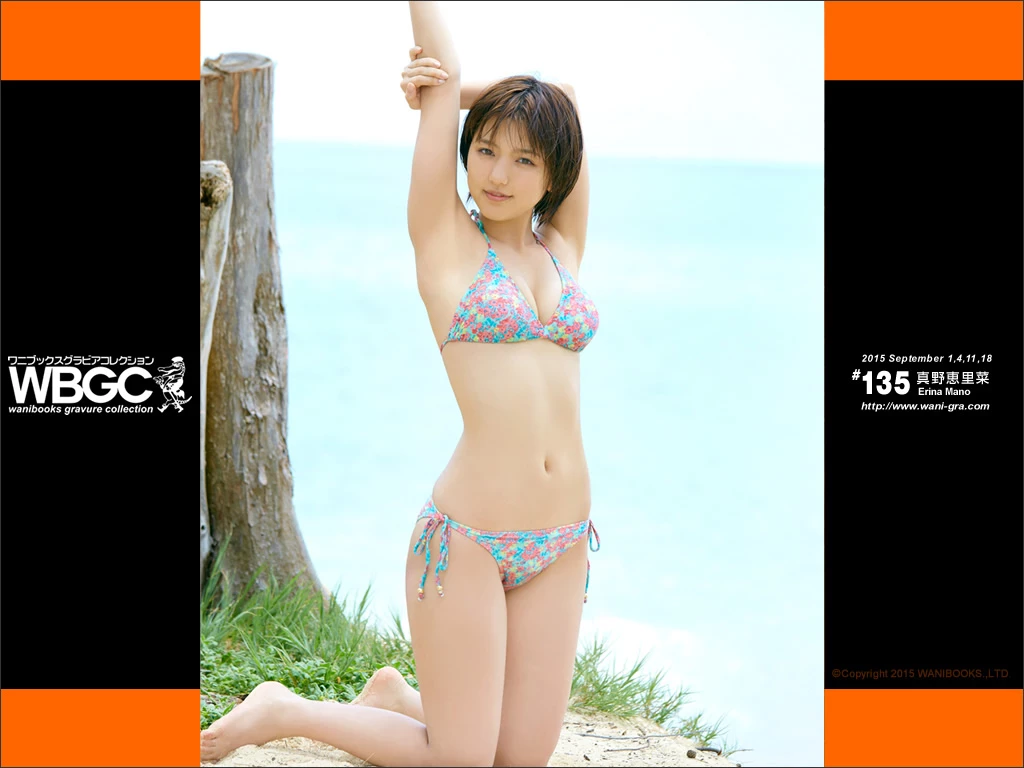 真野恵里菜[Wanibooks] 2015年05月号 #131 Erina Mano [577P]