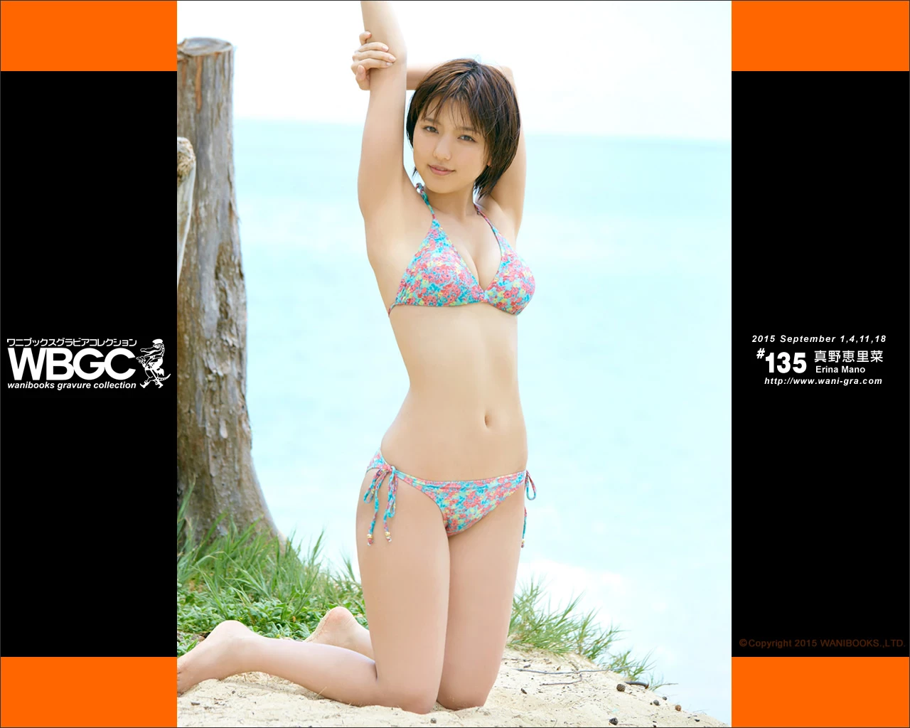 真野恵里菜[Wanibooks] 2015年05月号 #131 Erina Mano [577P]