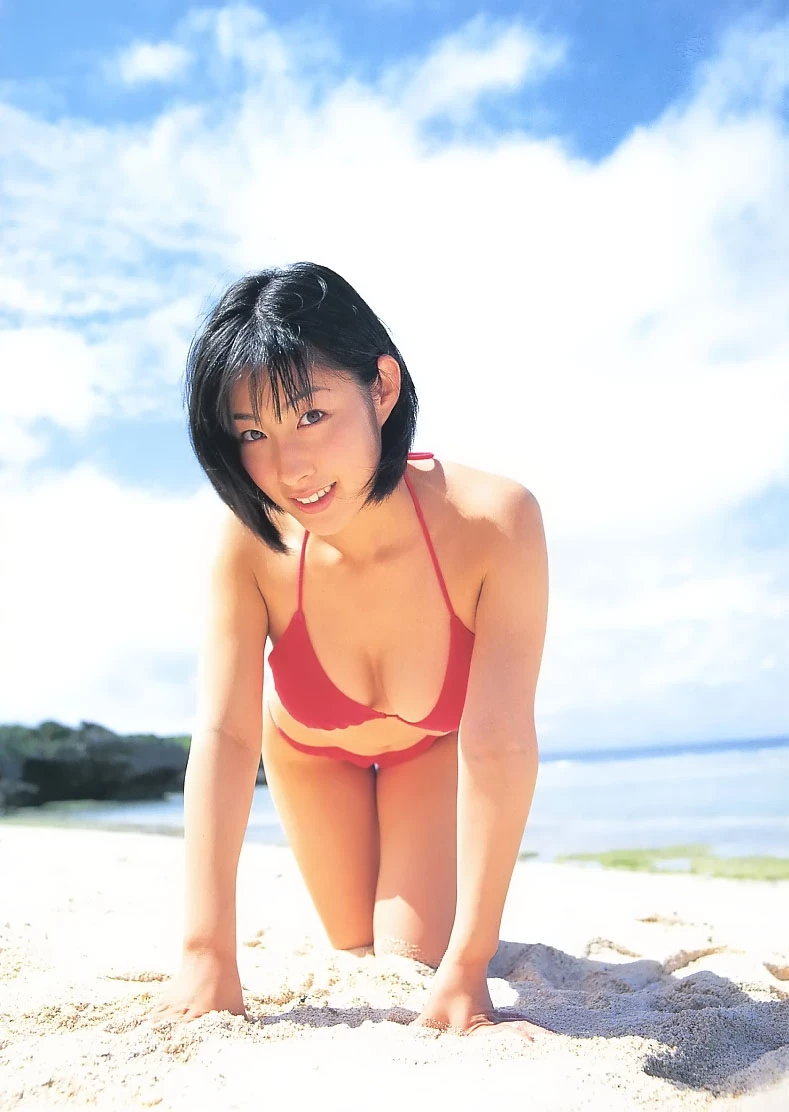 佐藤寛子[Photobook] - DIOSA [377P]