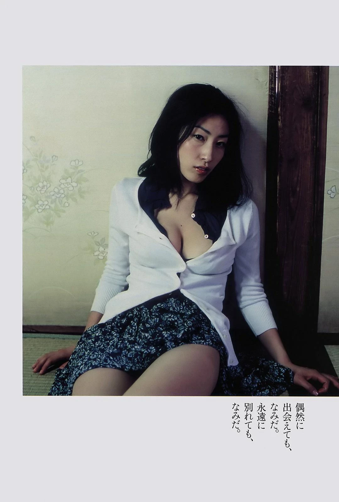 佐藤寛子[Photobook] - 情热 [683P]