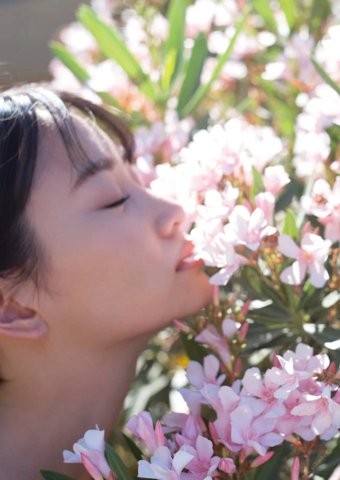 永尾まりや写真集 JOSHUA’ [172P]