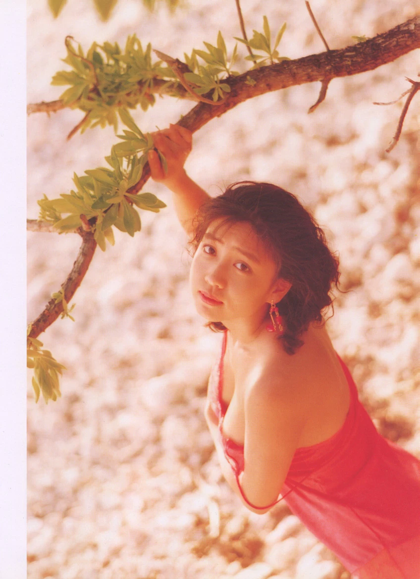 细川文惠Fumie Hosokawa - LET IN THE SUN [186P]