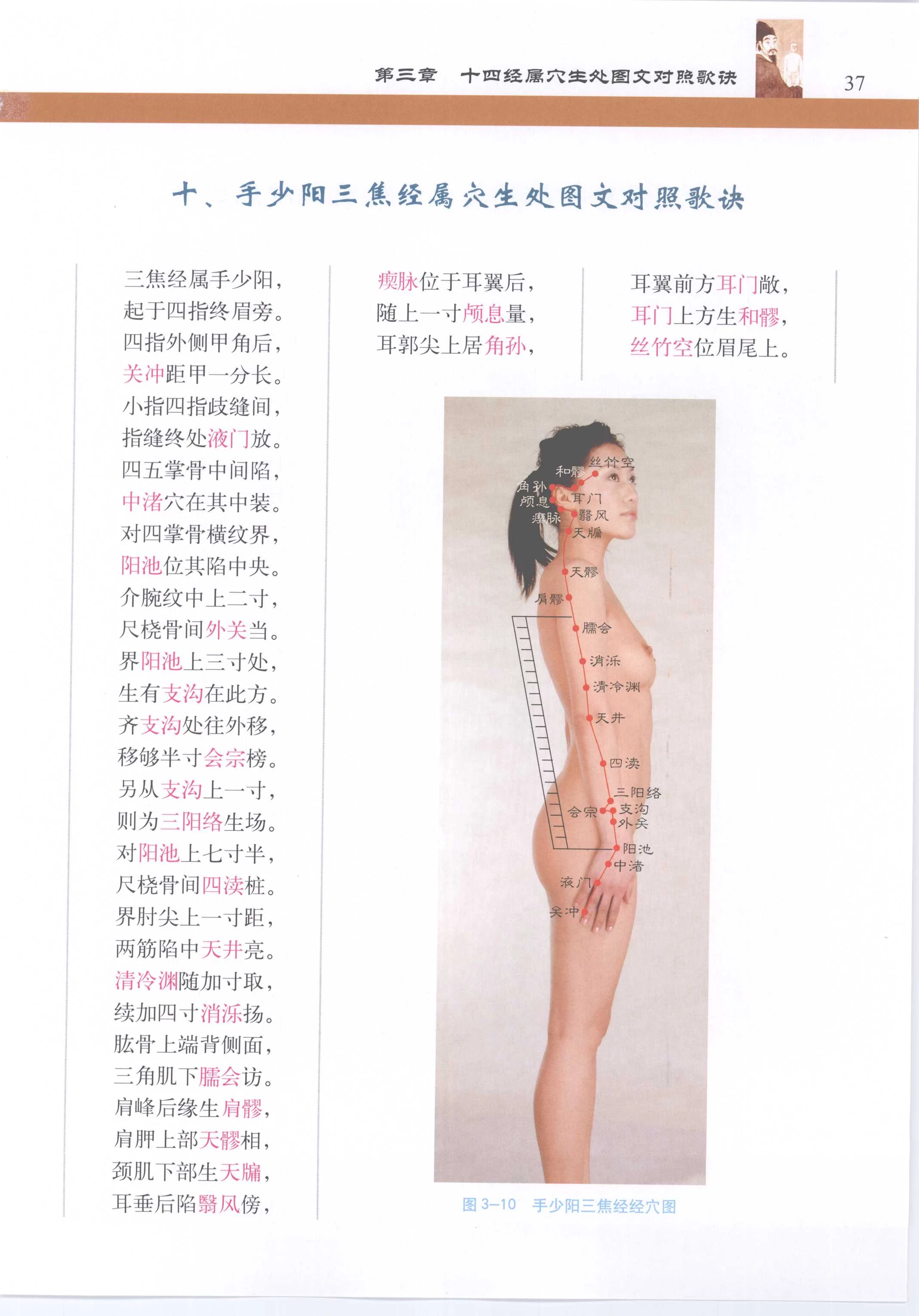 针灸歌诀配彩色图谱 [徐玉琢]Super Pose Book [398P]