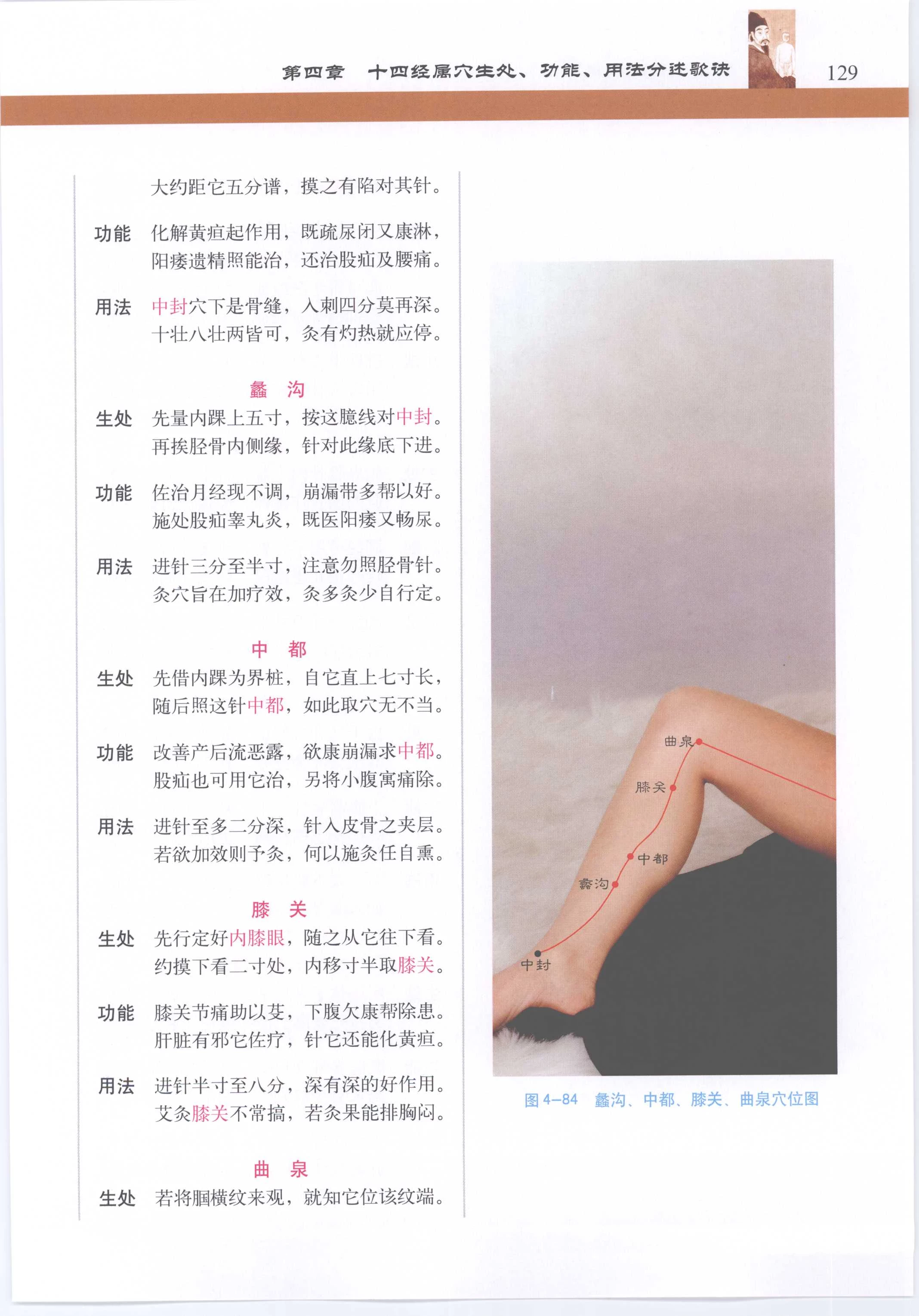 针灸歌诀配彩色图谱 [徐玉琢]Super Pose Book [398P]