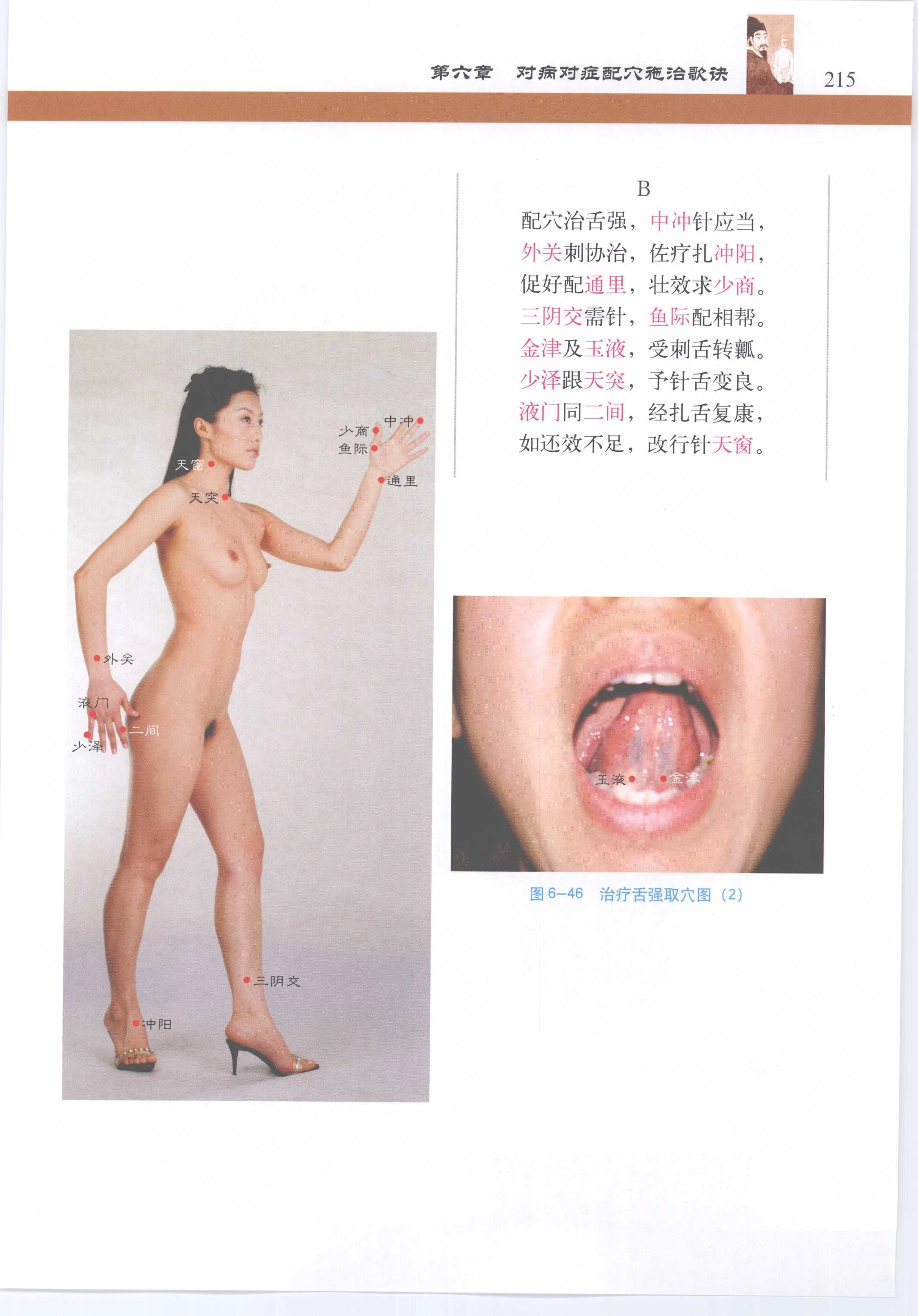 针灸歌诀配彩色图谱 [徐玉琢]Super Pose Book [398P]