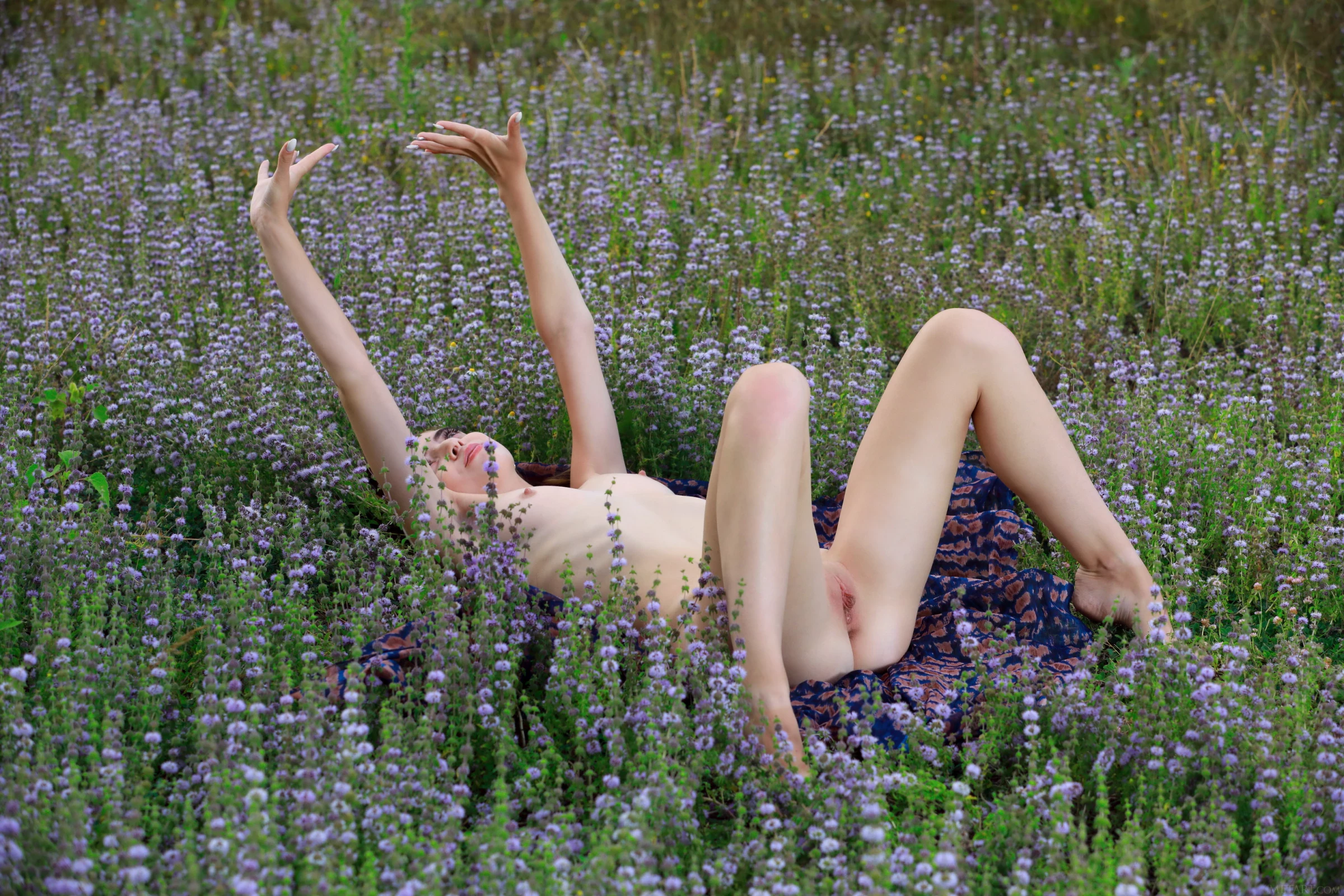 Agatha Ann - Lavender [120P]