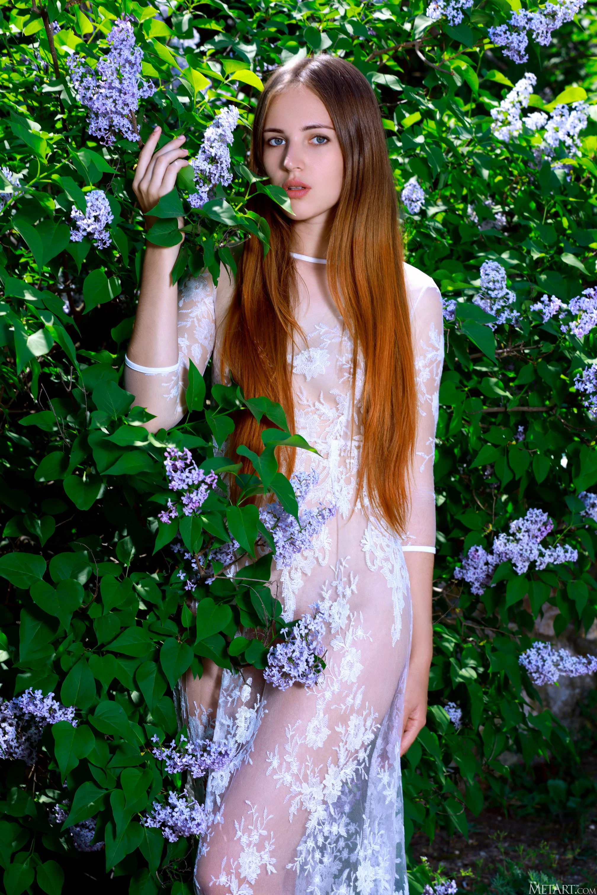 Hailey - Lilacs [127P]