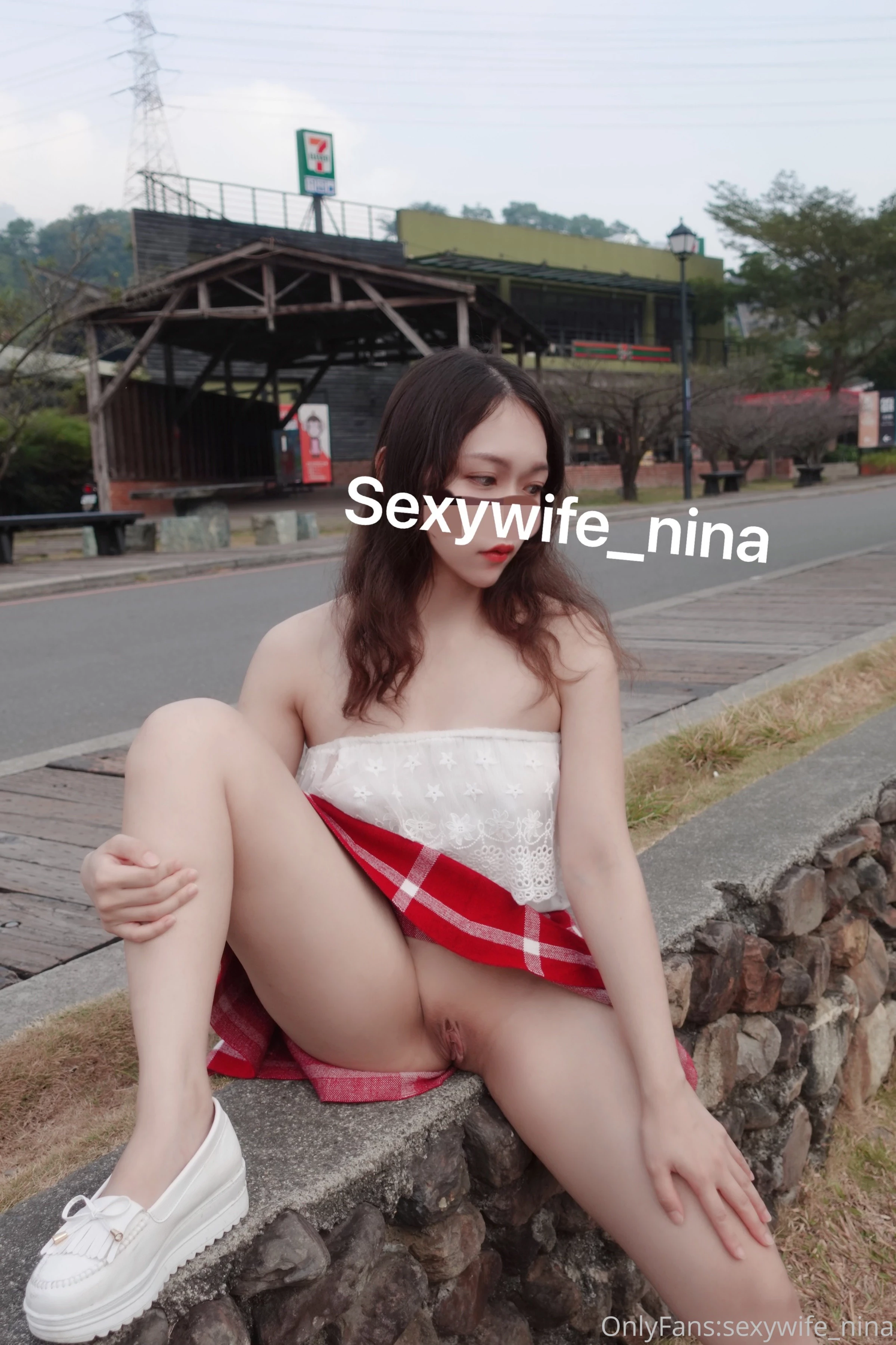 [OnlyFans系列]福利姬nina《推特合集》大尺度VIP福利帖1[100P]