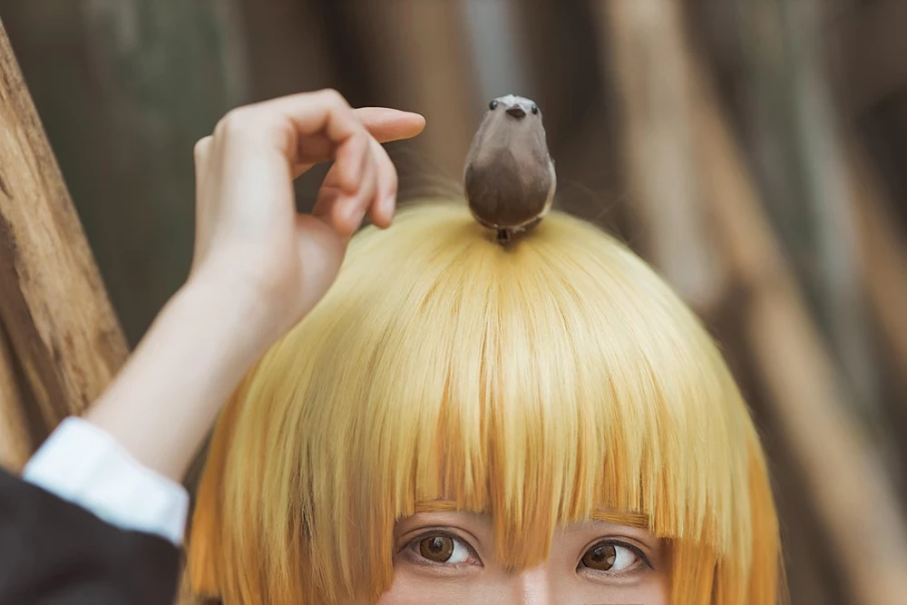 Kitaro 綺太郎 cosplay collection