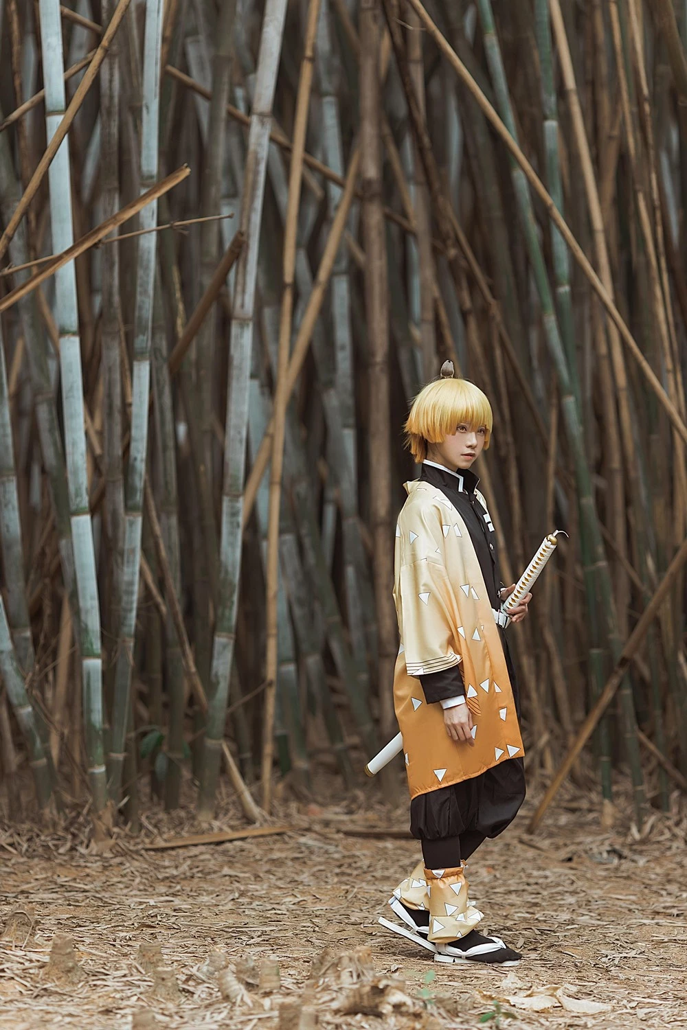 Kitaro 綺太郎 cosplay collection