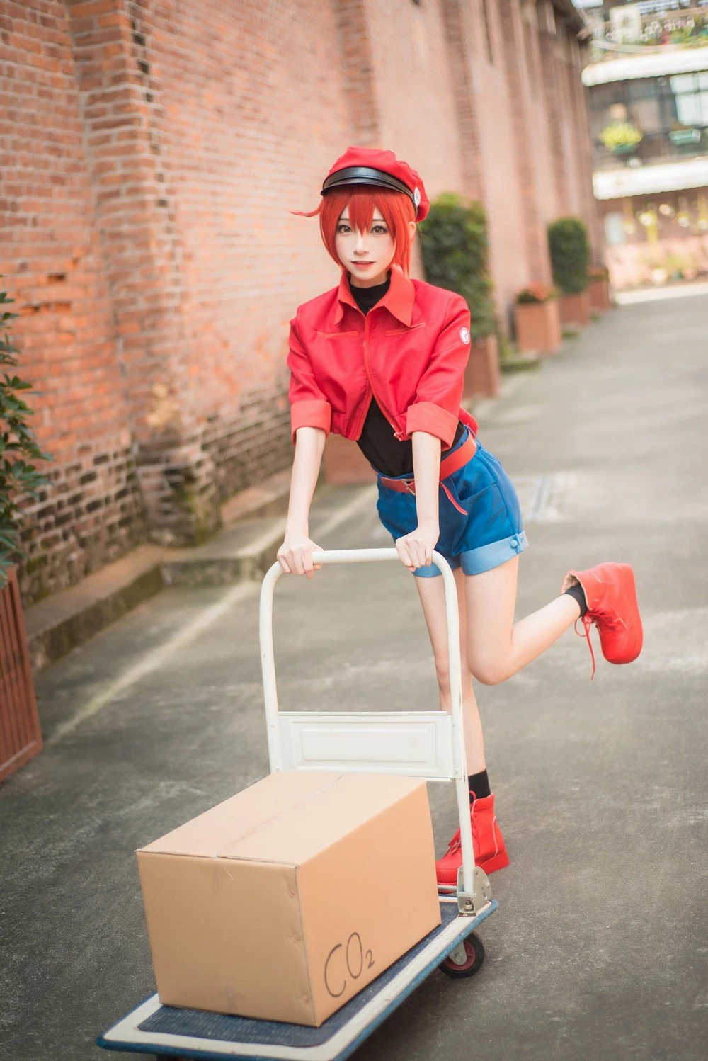 Kitaro 綺太郎 cosplay collection