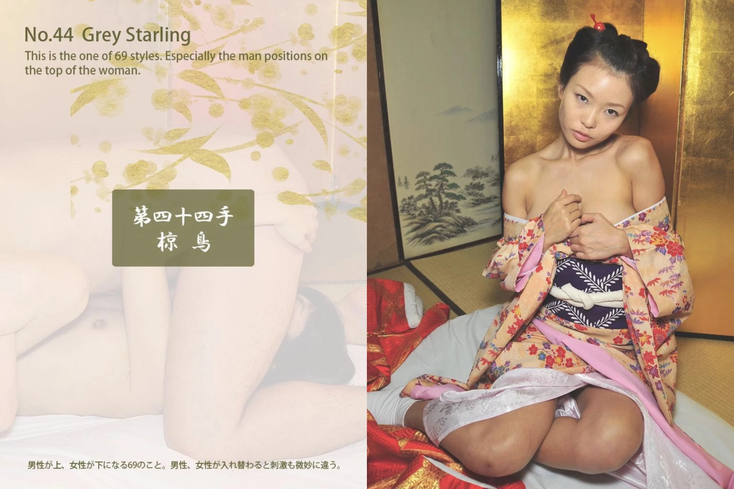 大江戸四十八手目录[ Photobook] EDO 48 SEX Positions [93P]